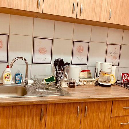 Ultracentral Apartment With All You Need: Wifi, Tv, Ac, Washer, Coffe 蒂米什瓦拉 外观 照片