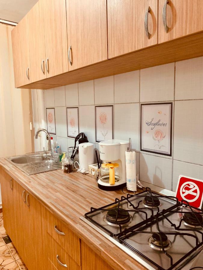Ultracentral Apartment With All You Need: Wifi, Tv, Ac, Washer, Coffe 蒂米什瓦拉 外观 照片