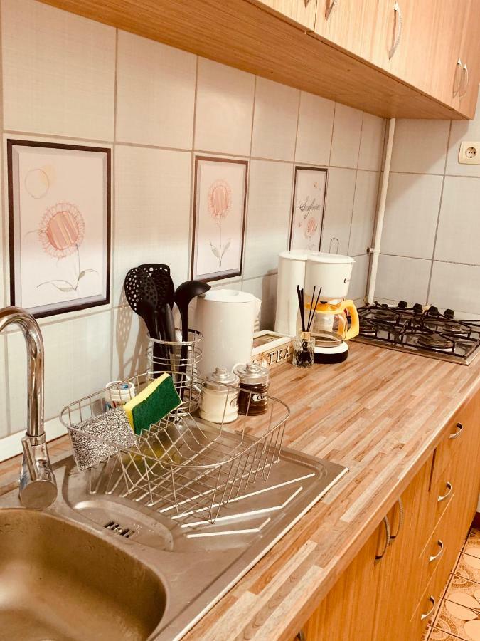 Ultracentral Apartment With All You Need: Wifi, Tv, Ac, Washer, Coffe 蒂米什瓦拉 外观 照片