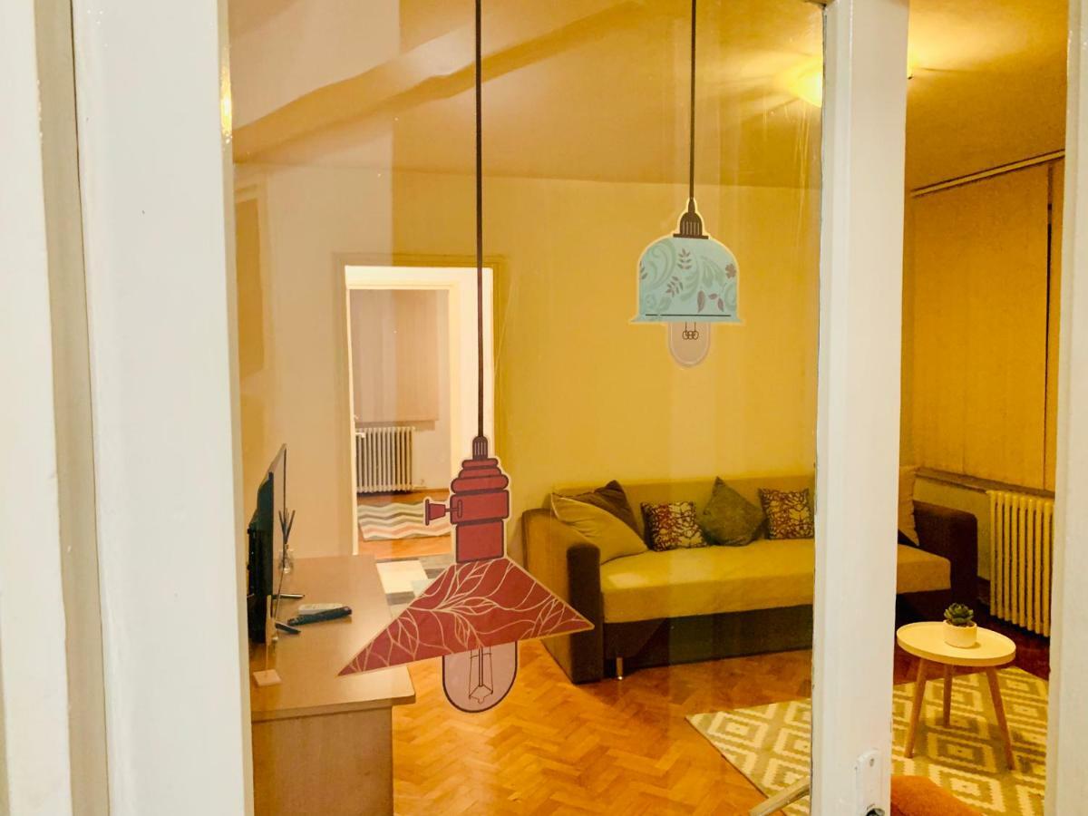 Ultracentral Apartment With All You Need: Wifi, Tv, Ac, Washer, Coffe 蒂米什瓦拉 外观 照片