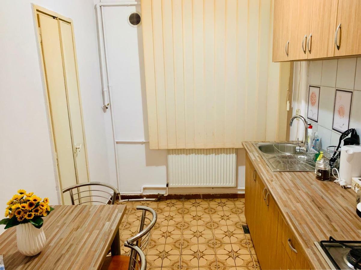 Ultracentral Apartment With All You Need: Wifi, Tv, Ac, Washer, Coffe 蒂米什瓦拉 外观 照片