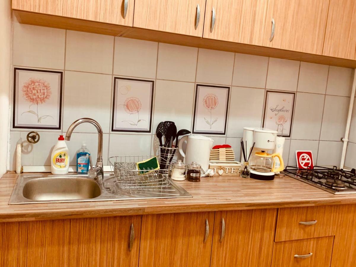 Ultracentral Apartment With All You Need: Wifi, Tv, Ac, Washer, Coffe 蒂米什瓦拉 外观 照片